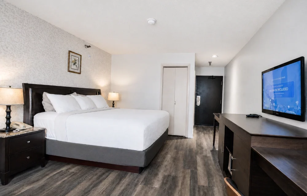 Hotel International